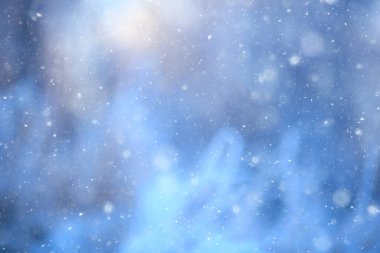 arka plan ağaç dallar doğa kış manzara kışlık orman