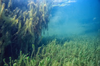 Doğa Göl manzara mavi çevre su sualtı şeffaf