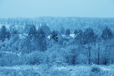 Rus köyünde kış/kış manzarası, Rusya 'da orman, eyalette karla kaplı ağaçlar