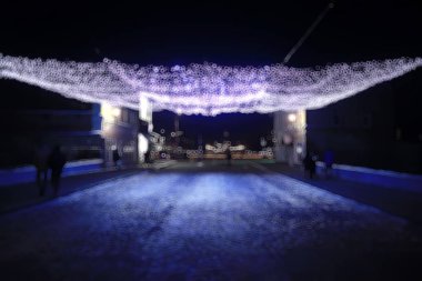 gece şehir kış/manzara Ocak şehir ışıkları tatil için dekore edilmiş, bir şehir parkında ağaçlar, kış manzara