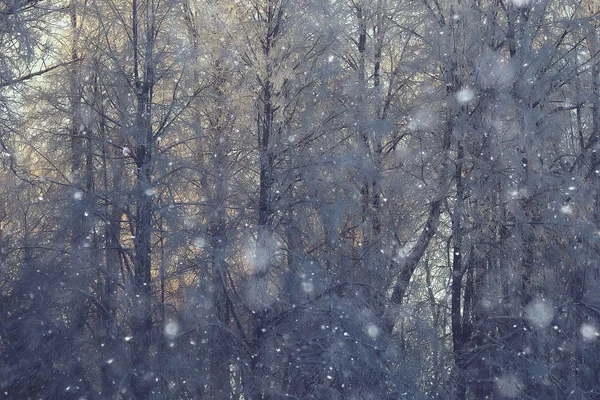 Zima Rosyjskiej Wsi Zimowy Krajobraz Las Rosji Pokryte Śniegiem Drzew — Zdjęcie stockowe