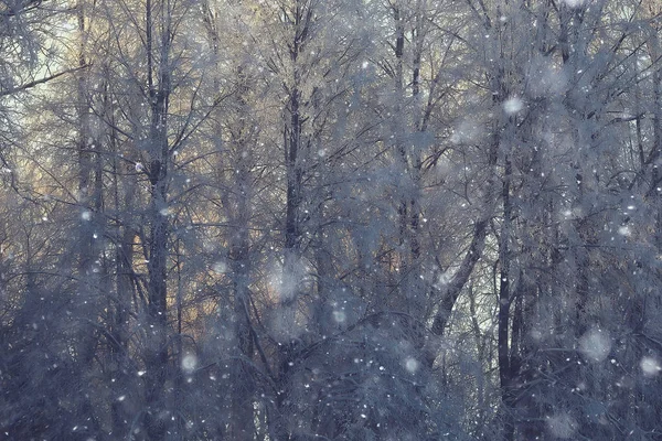 Winter Het Russische Dorp Winterlandschap Bos Rusland Met Sneeuw Bedekte — Stockfoto