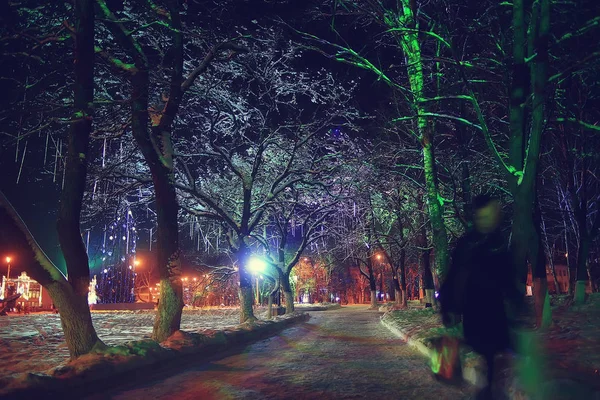 ナイトシティ冬 月の風景休日のために装飾された都市のライト 都市公園の木々 冬の風景 — ストック写真