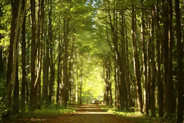 Stig Höst Park Höst Landskap Gul Park Höst Träd Och — Stockfoto