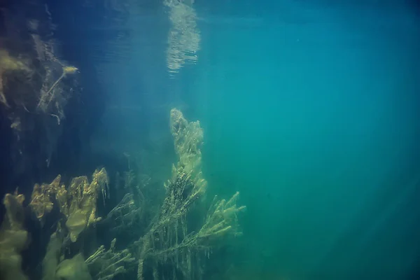 Lago Paisagem Subaquática Abstrato Azul Água Transparente Eco Proteção Natureza — Fotografia de Stock