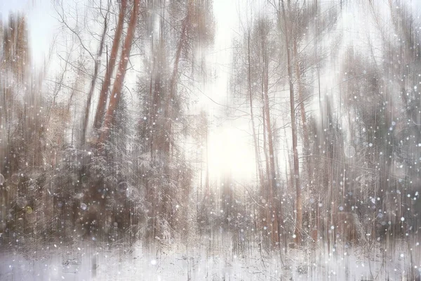 Floresta Neve Desfocada Fundo Inverno Paisagem Neve Coberto Floresta Árvores — Fotografia de Stock