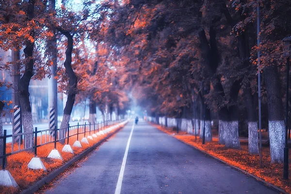 Otoño Paisaje Mañana Niebla Callejón Parque Ciudad Paisaje Brumoso Ciudad —  Fotos de Stock