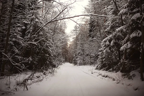 Abstrakte Hintergrund Landschaft Winter Wald Frostbedeckten Ästen Schnee Wetter Weihnachten — Stockfoto