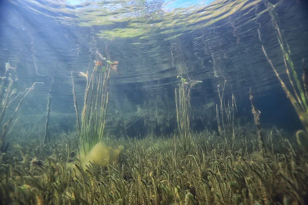 Озеро Підводний Пейзаж Абстрактна Блакитна Прозора Вода Захист Навколишнього Середовища — стокове фото