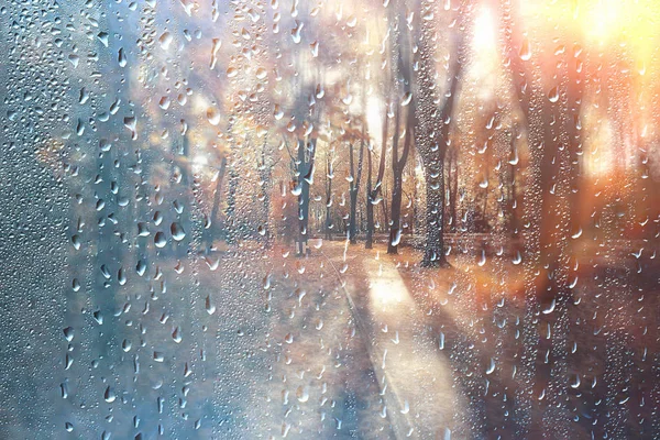 Hintergrund Nasses Glas Tropfen Herbst Park Blick Auf Die Landschaft — Stockfoto