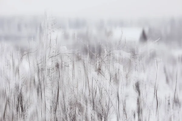 Forêt Abstraite Floue Lignes Verticales Hiver Fond Forestier Hiver Paysage — Photo