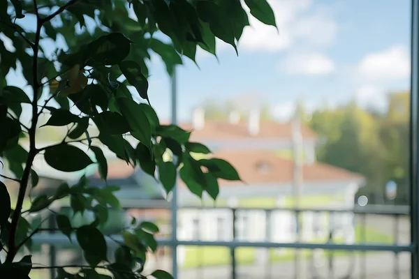 Verschwommener Fensterhintergrund Wohnlichkeit Konzept Fensterblick — Stockfoto