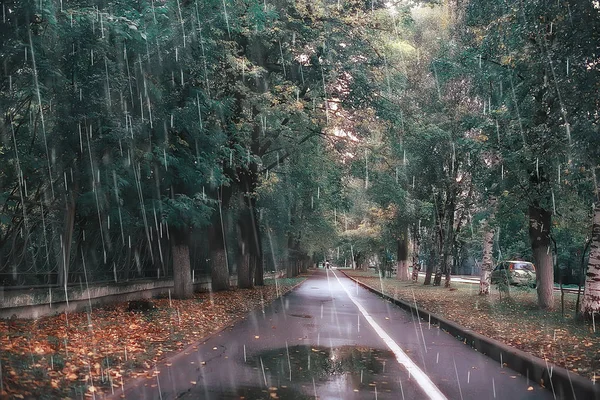 Őszi Táj Egy Esős Napon Egy Városi Parkban Sárga Fák — Stock Fotó