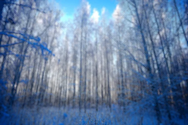 Krajobraz Las Linie Pionowy Rozmyte Streszczenie Tło Zima Zimą — Zdjęcie stockowe