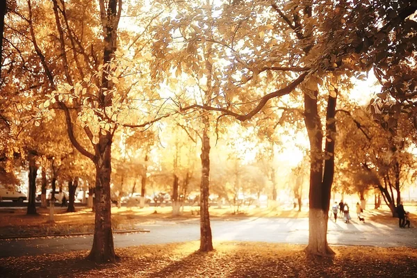 Weg Herbstpark Herbstlandschaft Gelber Park Herbstbäumen Und Blättern Ein Schöner — Stockfoto