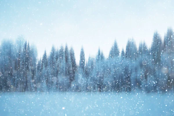 Forest Snow Blurred Background Winter Landscape Snow Covered Forest Trees — Stock Photo, Image