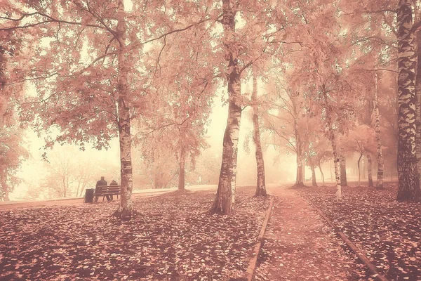 Sépia Outono Parque Paisagem Outono Paisagem Estilo Vintage Sépia Laranja — Fotografia de Stock