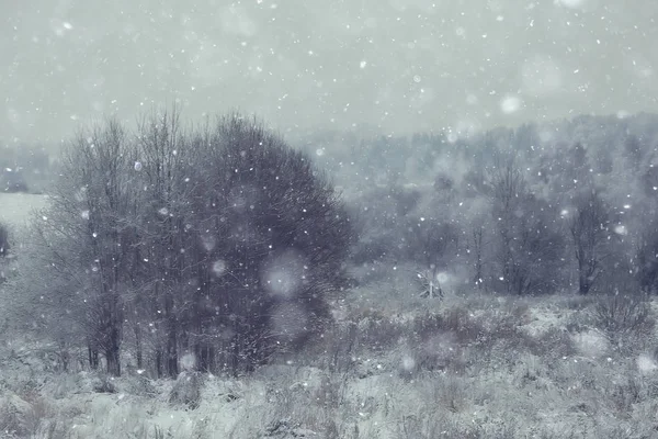 Vinter Den Ryska Byn Vinter Landskap Skog Ryssland Snötäckta Träd — Stockfoto