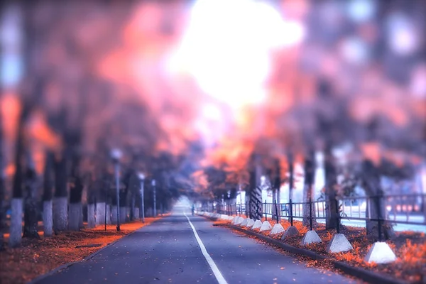 Şehir Parkında Sis Sokakta Sonbahar Manzara Sabah Şehirde Puslu Manzara — Stok fotoğraf