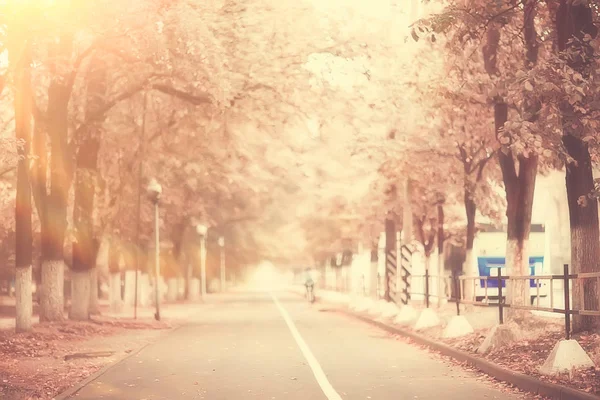 Sépia Outono Parque Paisagem Outono Paisagem Estilo Vintage Sépia Laranja — Fotografia de Stock