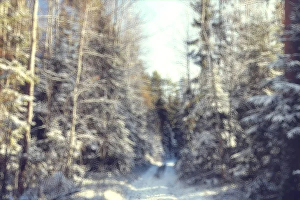 Abstrato Floresta Borrada Inverno Vertical Linhas Inverno Floresta Fundo Paisagem — Fotografia de Stock