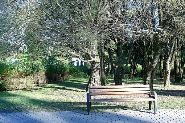 Paisagem Banco Parque Outono Banco Bonito Jardim Conceito Descanso Ninguém — Fotografia de Stock