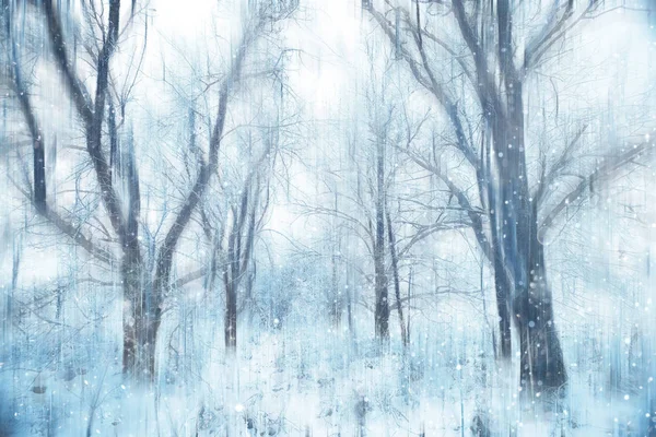 Forest Snow Blurred Background Winter Landscape Snow Covered Forest Trees — Stock Photo, Image