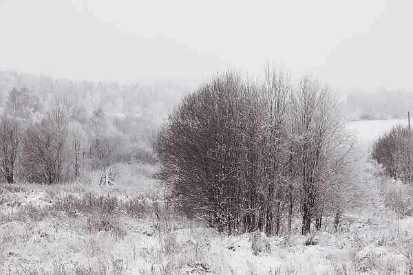 Winterlandschap Het Bos Sneeuwweer Januari Prachtig Landschap Het Besneeuwde Bos — Stockfoto