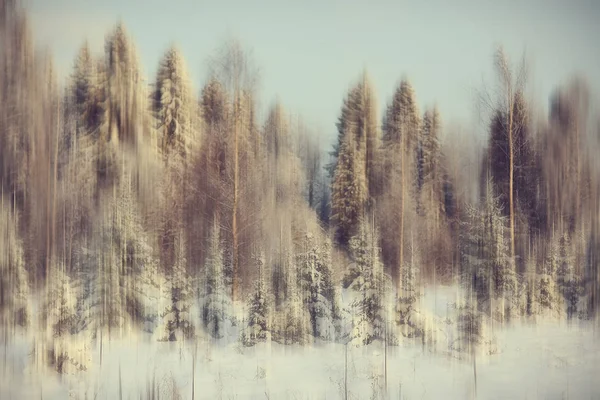 Abstract Bos Wazig Winter Verticale Lijnen Winter Bos Achtergrond Abstract — Stockfoto