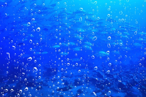 Bakgrund Undervattens Luft Bubblor Rev Abstrakt Havet Bakgrund Dykning Natur — Stockfoto