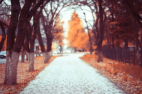 路径秋天公园 秋天风景 黄色公园在秋天树和叶子 一个美丽的阳光明媚的天在城市公园 — 图库照片