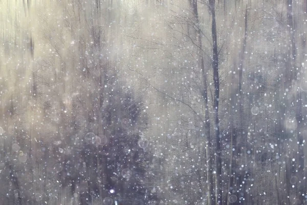 森の雪は 冬の風景をぼかした雪に覆われた森 木や冬の天気の枝 — ストック写真