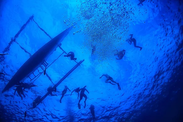 Snorkeling Whale Shark Filipinas Mergulho Com Tubarões Cena Subaquática — Fotografia de Stock