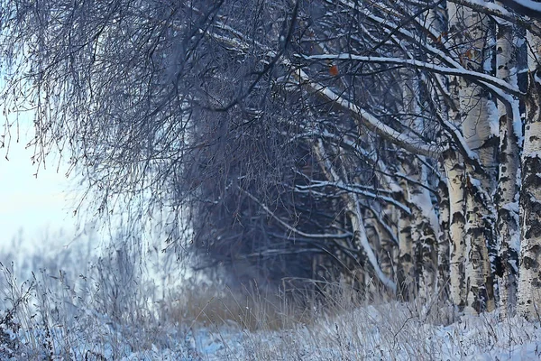 Parco Invernale Paesaggio Urbano Inverno Meteo Paesaggio Neve Città Alberi — Foto Stock