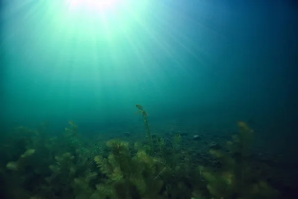 Meer Onderwater Landschap Abstract Blauw Transparant Water Eco Natuurbescherming Onderwater — Stockfoto