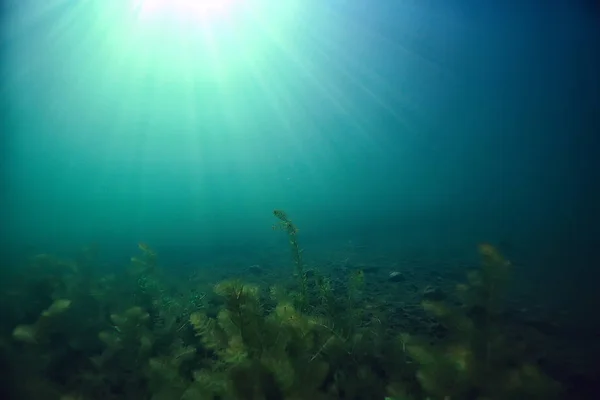 See Unterwasserlandschaft Abstrakt Blaues Transparentes Wasser Öko Naturschutz Unter Wasser — Stockfoto