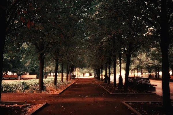 Шлях Осінній Парк Осінній Пейзаж Жовтий Парк Осінніх Деревах Листі — стокове фото