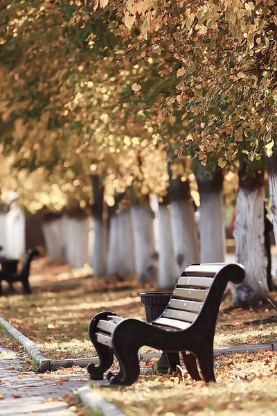 Landschap Herfst Park Bench Mooie Tuin Bankje Concept Van Rust — Stockfoto