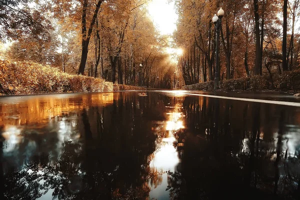 Camino Otoño Parque Otoño Paisaje Parque Amarillo Árboles Hojas Otoño — Foto de Stock