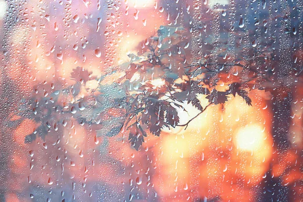 背景濡れたガラスは 公園の秋 濡れた窓から秋の公園の風景の眺め 秋の日の雨の天気の概念 — ストック写真