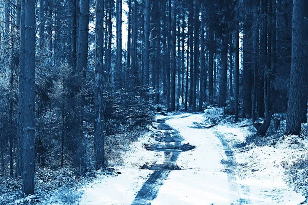 Zimní Park Panoráma Zimě Počasí Krajinný Sníh Město Stromy Městském — Stock fotografie