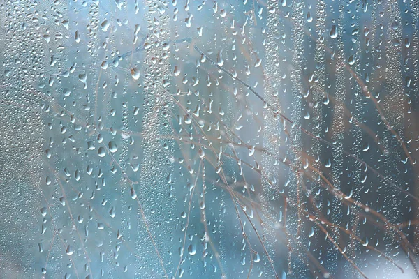 Fond Verre Mouillé Gouttes Automne Dans Parc Vue Sur Paysage — Photo