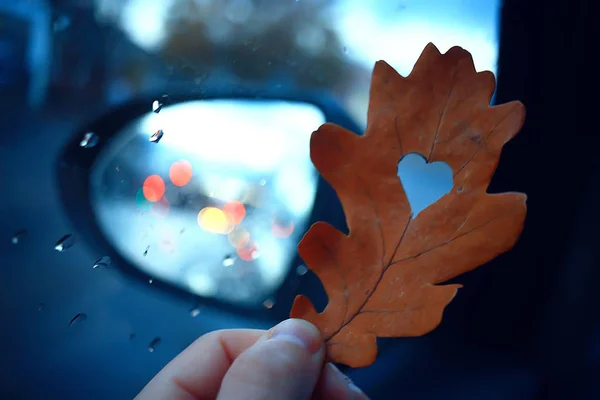 Autumn Heart Oak Yellow Leaf Heart Symbol Autumn Decoration Concept — ストック写真