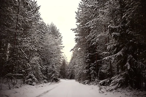Inverno Nel Villaggio Russo Paesaggio Invernale Foresta Russia Alberi Innevati — Foto Stock