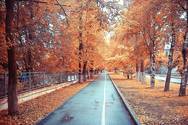 Path Autumn Park Autumn Landscape Yellow Park Autumn Trees Leaves — Stock Photo, Image