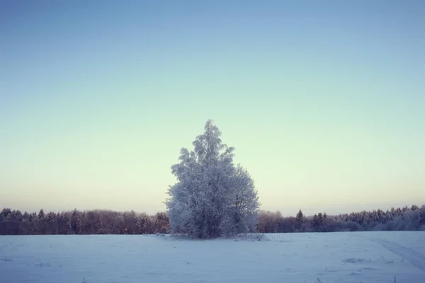 Зима Російському Селі Зимовий Пейзаж Ліс Росії Засніжені Дерева Провінції — стокове фото
