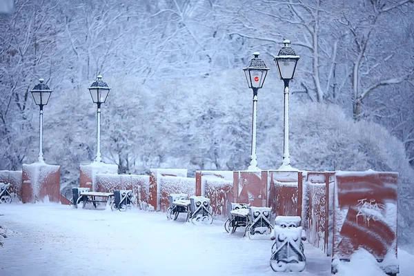 Parque Inverno Paisagem Urbana Inverno Tempo Paisagem Neve Cidade Árvores — Fotografia de Stock