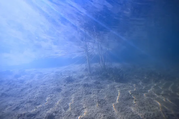 Sun Rays River Underwater Landscape Abstract Underwater Landscape Plants Fresh — Stock Photo, Image