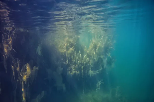 See Unterwasserlandschaft Abstrakt Blaues Transparentes Wasser Öko Naturschutz Unter Wasser — Stockfoto