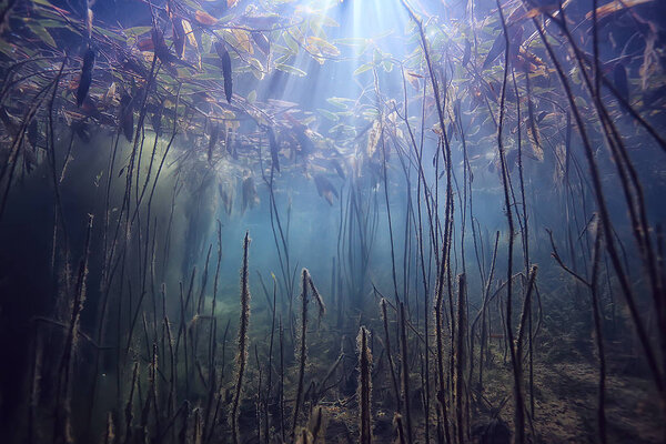 Lake underwater landscape abstract / blue transparent water, eco nature protection underwater